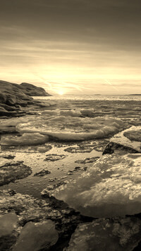 Szary + Sepia