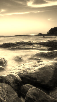 Szary + Sepia