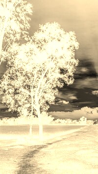 Sepia + Negatyw
