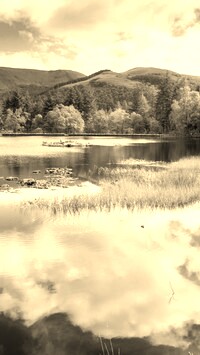 Sepia