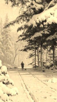 Szary + Sepia