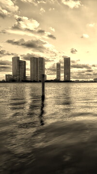 Szary + Sepia