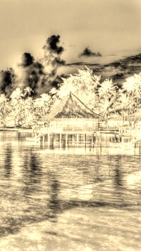 Sepia + Negatyw