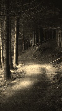 Szary + Sepia