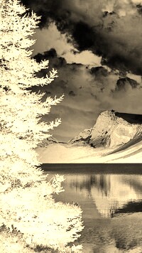 Sepia + Negatyw