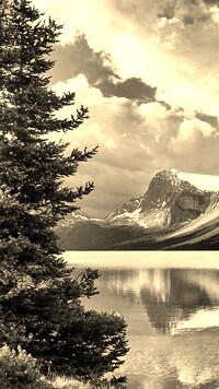 Szary + Sepia