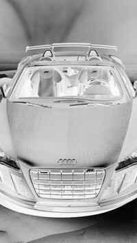 Szary + Negatyw