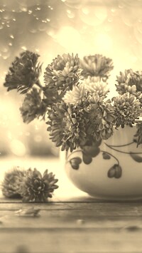 Szary + Sepia