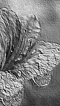 Skamielina