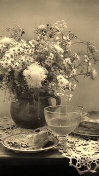 Szary + Sepia