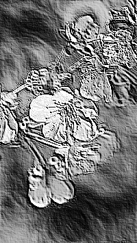 Skamielina