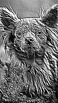 Skamielina