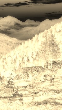 Sepia + Negatyw