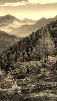 Sepia