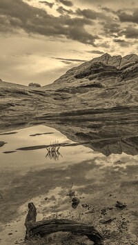 Szary + Sepia