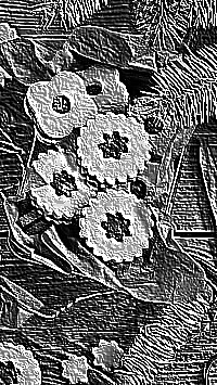 Skamielina