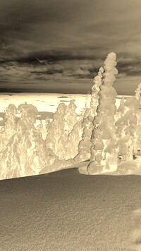 Sepia + Negatyw