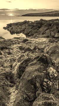 Szary + Sepia