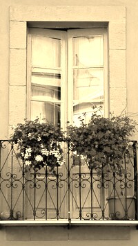Szary + Sepia