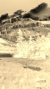 Sepia + Negatyw