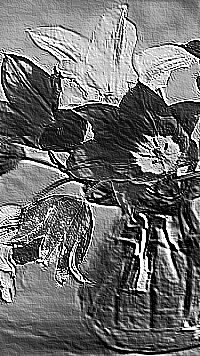 Skamielina