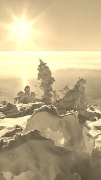 Szary + Sepia