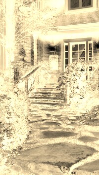 Sepia + Negatyw