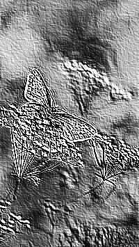 Skamielina