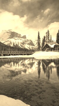 Szary + Sepia