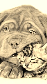 Szary + Sepia