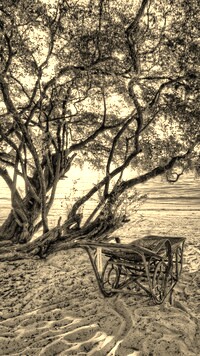 Sepia