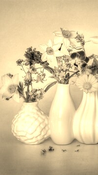 Szary + Sepia