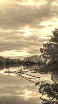 Szary + Sepia