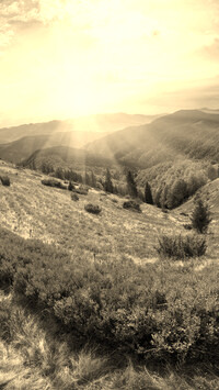 Szary + Sepia