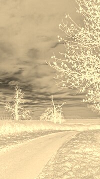 Sepia + Negatyw