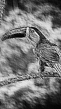 Skamielina
