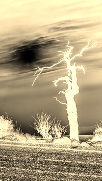 Sepia + Negatyw
