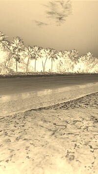 Sepia + Negatyw