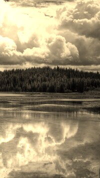 Sepia