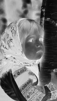 Szary + Negatyw