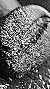 Skamielina