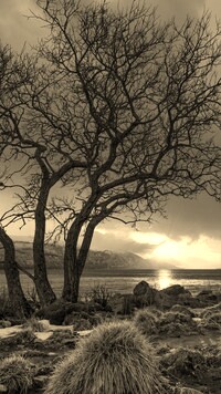 Szary + Sepia