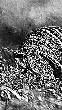 Skamielina