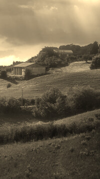 Sepia