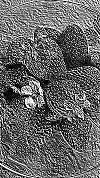 Skamielina