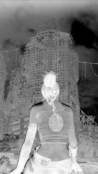 Szary + Negatyw