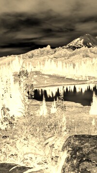 Sepia + Negatyw
