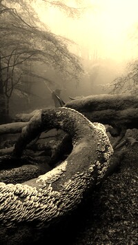 Szary + Sepia