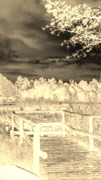 Sepia + Negatyw