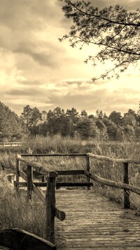 Sepia